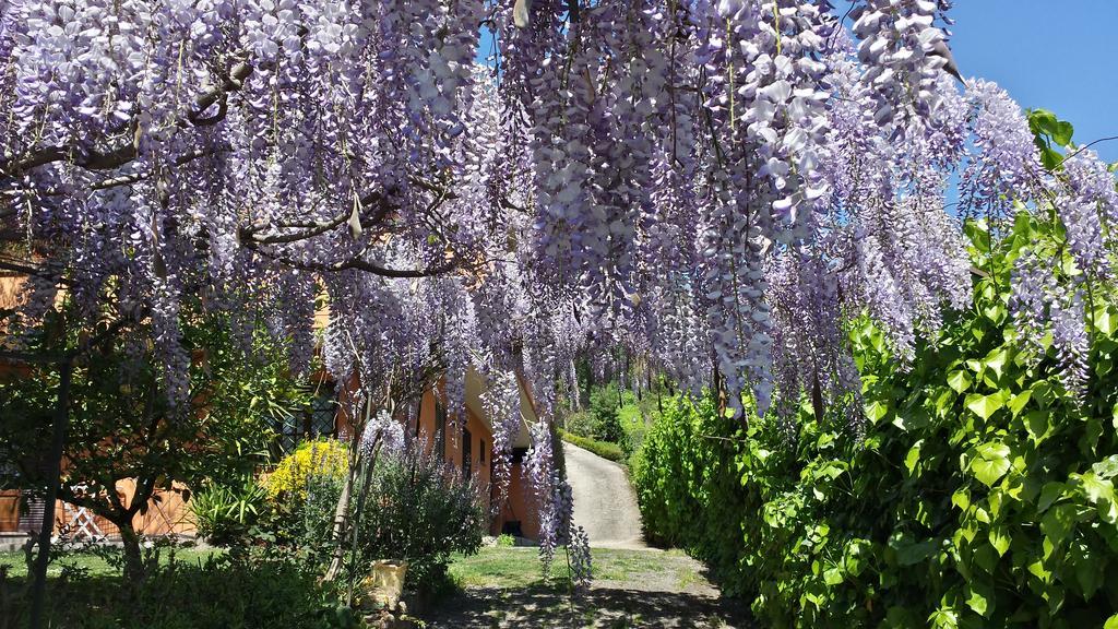 Il Parco Holiday - Locazione Turistica Fonte Nuova Екстер'єр фото
